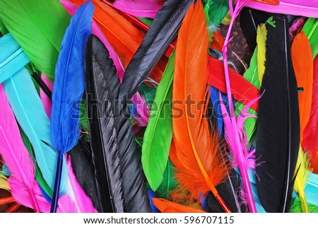 Feathers texture. Beautiful colored vibrant bird feather photo as background. Colorful feather pattern.