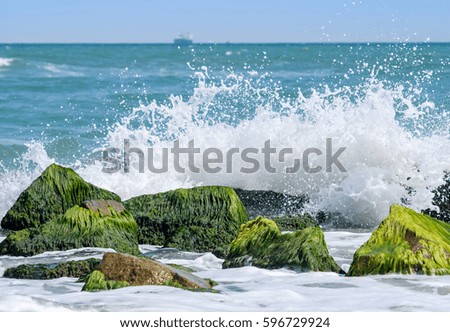 Black sea splashes 2
