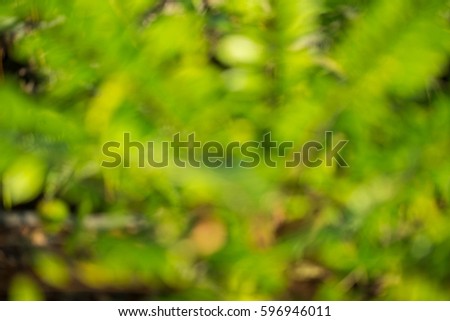 Art floral background, nature abstract, blurry background bokeh
