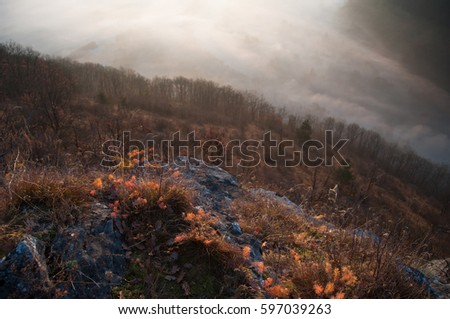 Looking down to the misty woods from the top of the mountain