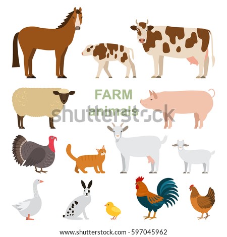 A large set of animals and birds with a farm in a cartoon style. Flat vector illustration isolated on white background