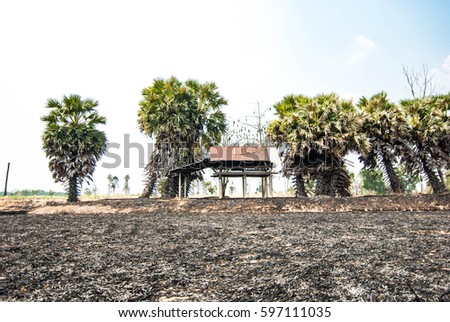 Fire field with rice straw And summer hay in Southeast Asia, Thailand, Laos, Myanmar, Vietnam, Cambodia is one of the causes of greenhouse gases and global warming.
