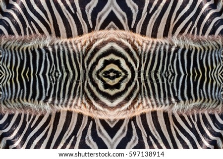 zebra skin texture for background.