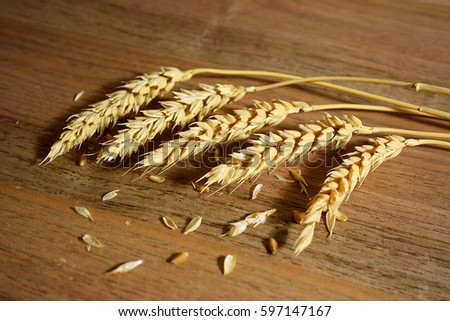 Wheat ears with stems lie on the table with seeds