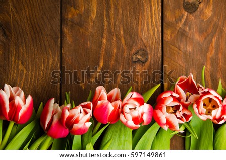 Red-white tulips on wooden boards.