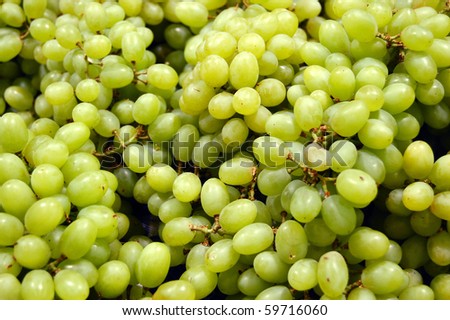 Summer Grass, green supermarket grapes