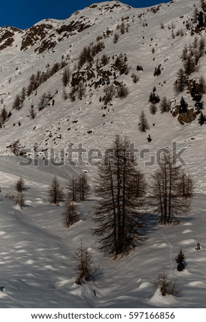 Peio Fonti - Val di Sole, Trentino - mountainside