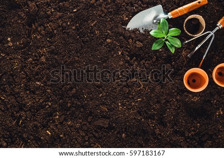 Gardening tools on fertile soil texture background seen from above, top view. Gardening or planting concept. Working in the spring garden. Royalty-Free Stock Photo #597183167