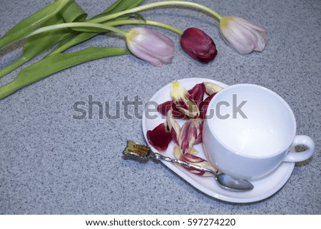 Photo of a white tulip and burgundy tulip and petals. saucer and cup
