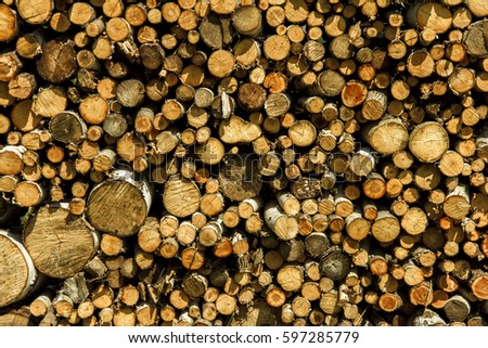 Composition pile of wood logs, wood logs texture, natural wooden logs stacked, wooden logs background. Tree different formats. Stocking up for winter. Procedure. 