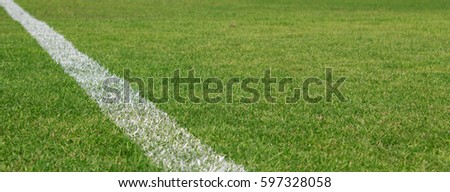 white stripe on the green grass soccer stadium, selective focus.