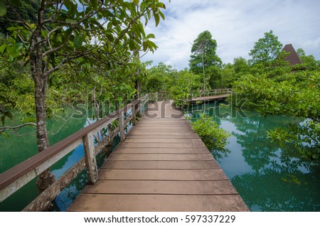 Tha Pom Klong Song Nam nature trail in Krabi Thailand, mangrove forrest Royalty-Free Stock Photo #597337229