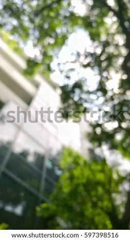 Blurred look up trees Abstract