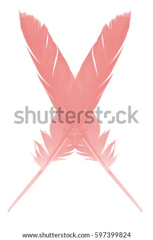 symbol coral pink feather on white background