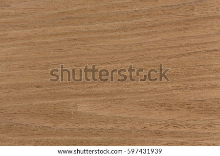 Oak texture on macro, natural background. Extremely high resolution photo.