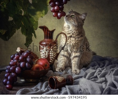 A cat and a bunch of grapes