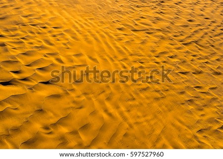 Golden sands of Sahara. Texture, Wallpaper, Background