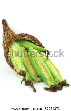 Still Picture of corncobs with leaves and corn silk spilled from a basket over white background.