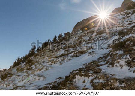 winter view of Carpathian mountains over evergreen trees on a sunny day and clear blue sky