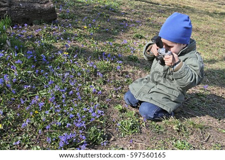 A small white boy takes pictures of beautiful blue primroses. Young photographer makes his first brilliant shots