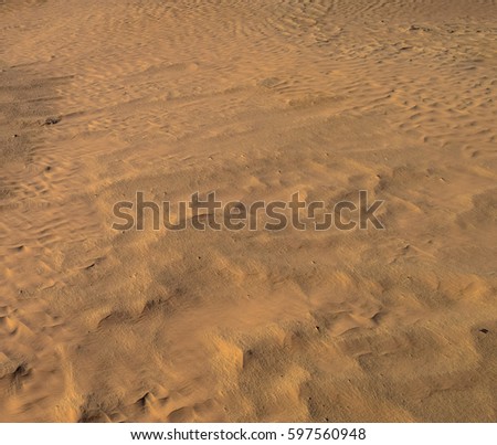 Gold color desert and golden sands of Sahara. Texture, Wallpaper, Background