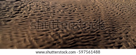 Gold color desert and golden sands of Sahara. Texture, Wallpaper, Background