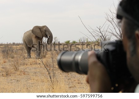 Taking a photo of an elephant in Etosha National Park in Namibia