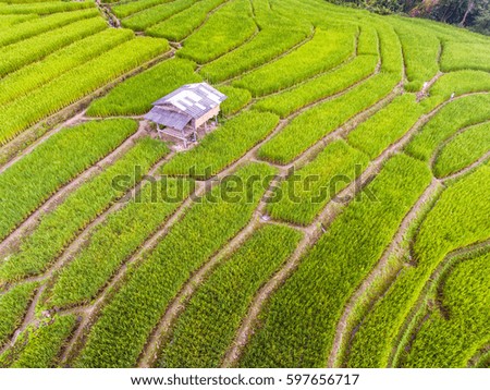 Aerial view of beautiful rice terrace in a mountain