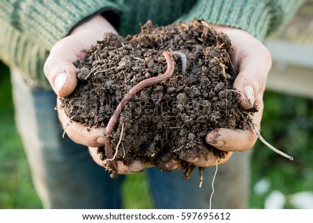 Earthworm on a mound of dirt on hands Royalty-Free Stock Photo #597695612