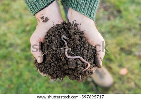 An earthworm on a heap of soil on hands Royalty-Free Stock Photo #597695717