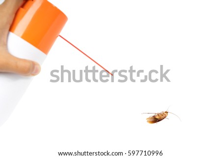 Hand kill a cockroach by Spray,isolated on white background.
