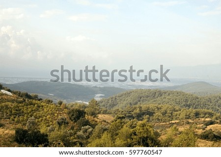 High mountain landscape with a view of the mountains with snow, with mountain pines.