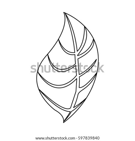 silhouette leaves icon stock, vector illustration design