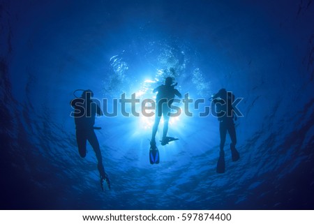 Scuba diving 