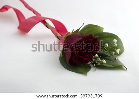 Red rose isolated on a white background.

