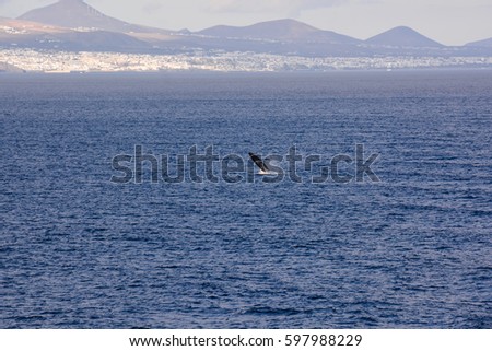 Picture View of La Gomera in the Canary Islands