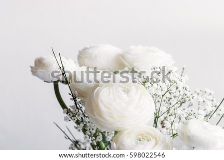 Peony flowers. Flowers background for your spring design concept