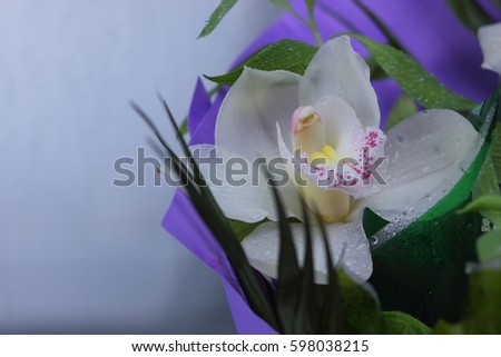 Bouquet of orchids in paper. Beautiful orchids with green leaves. Gift bouquet of white flowers