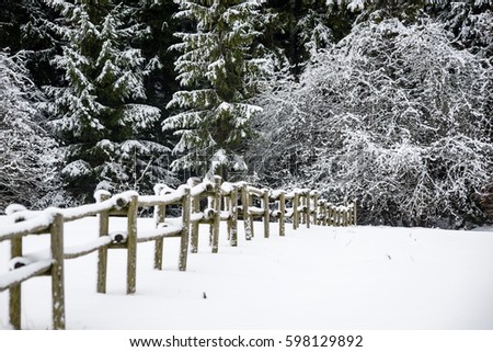 cold winter field in mist with snow covered wooden fence