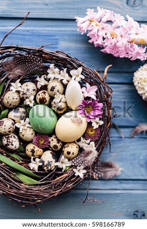 Nest with easter eggs and flowers on a blue wooden background. top view