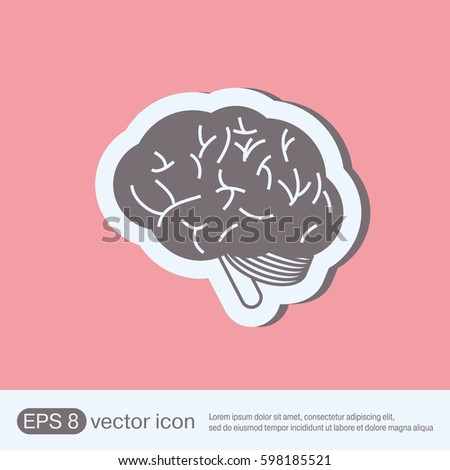 brain vector icon. anatomic human brain