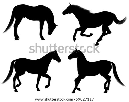 Black silhouettes of a horse in various poses on a white background - 2