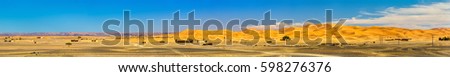 Sand dunes in the Sahara desert at Merzouga - Morocco