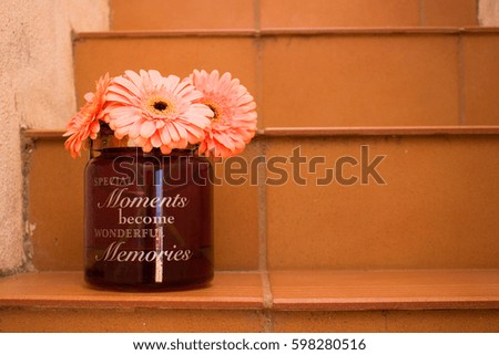 Gerber. Three flowers. Stairs.
