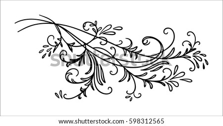 vector design element, beautiful fancy curls leaves vines and swirls paragraph divider or underline illustration, black ink lines isolated on white background,