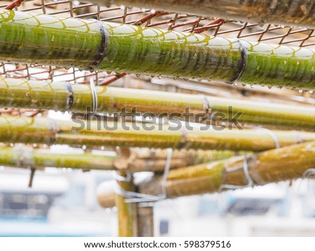 close up  of  traditional bamboo Scaffolding for construction job in raining day.