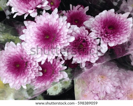 Bunch of flowers
