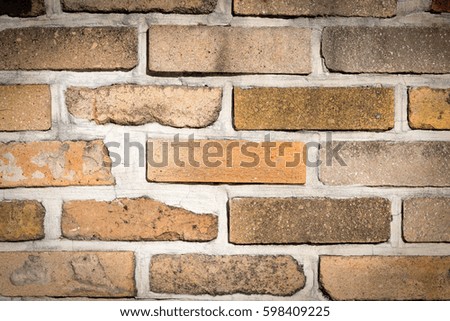 brick background.photo