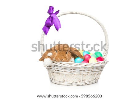 Beautiful domestic rabbit in basket with eggs