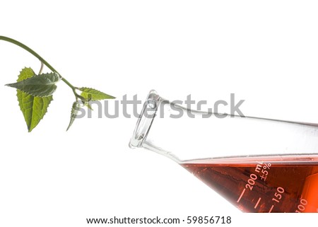 Green leaves next to an erlenmeyer flask with a red liquid in it.